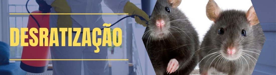 Controle Roedores 24 HORAS